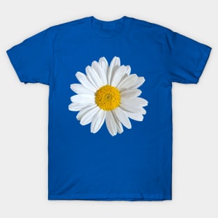 Marguerite blossom on Blue T-Shirt